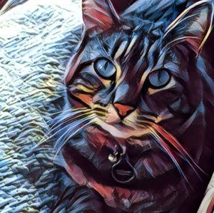 Meet your Posher, Beth